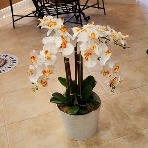 4 ft arrificial orchid tree white metal base